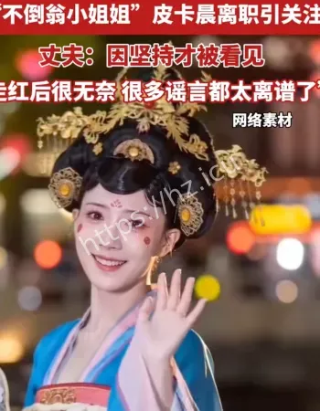 西安不倒翁小姐姐离职